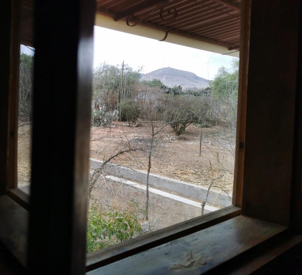 Posada Casa Del Minero Pozos  Εξωτερικό φωτογραφία