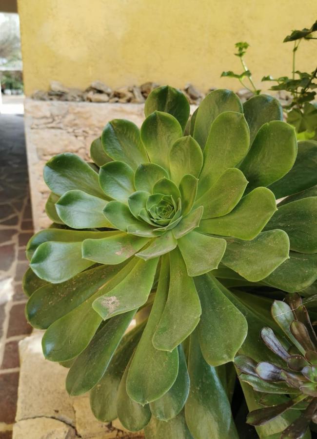 Posada Casa Del Minero Pozos  Εξωτερικό φωτογραφία